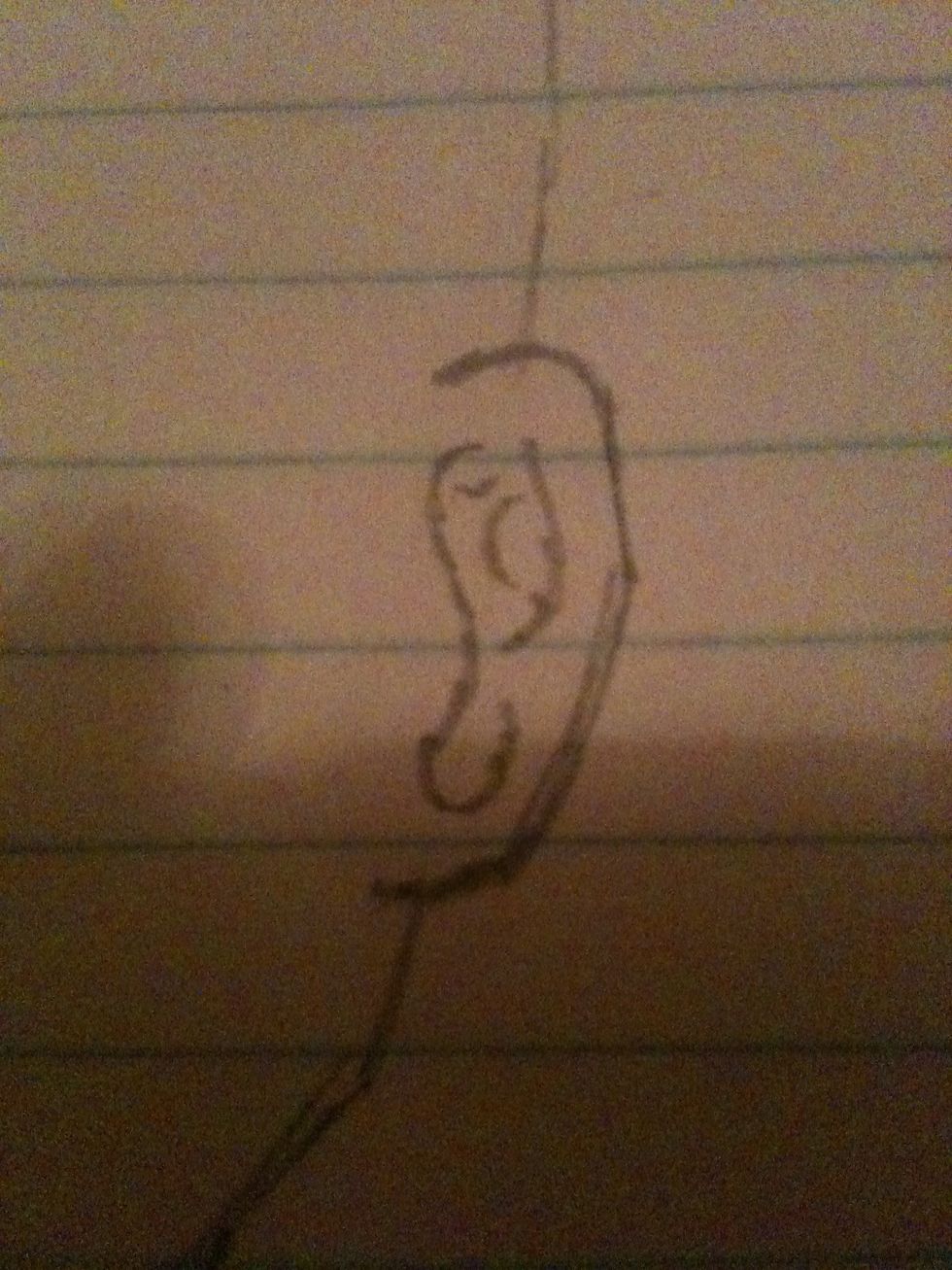 Next, some detail in the ear! Sorry about the shadow! I'm not the best photographer:)