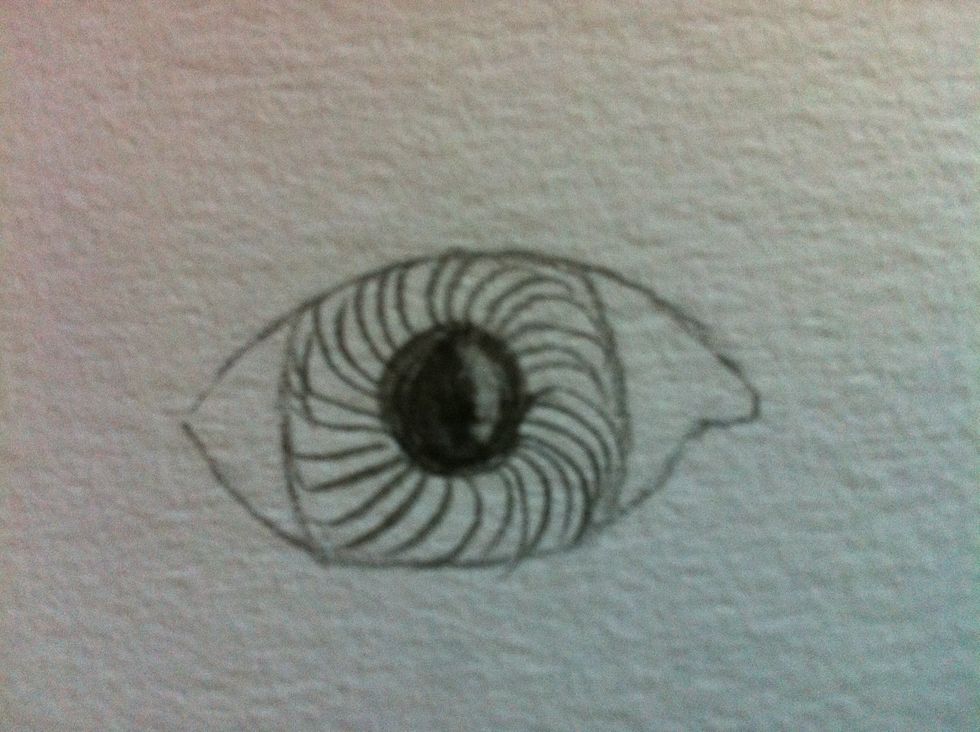 Next, start adding small lines in a circular fashion around the pupil.