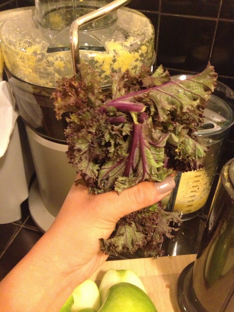 Next, take your leafy greens and bundle them together. The more compact it is, the easier it is to extract the juice. In this step, I juiced both the Dino and Red Kale.