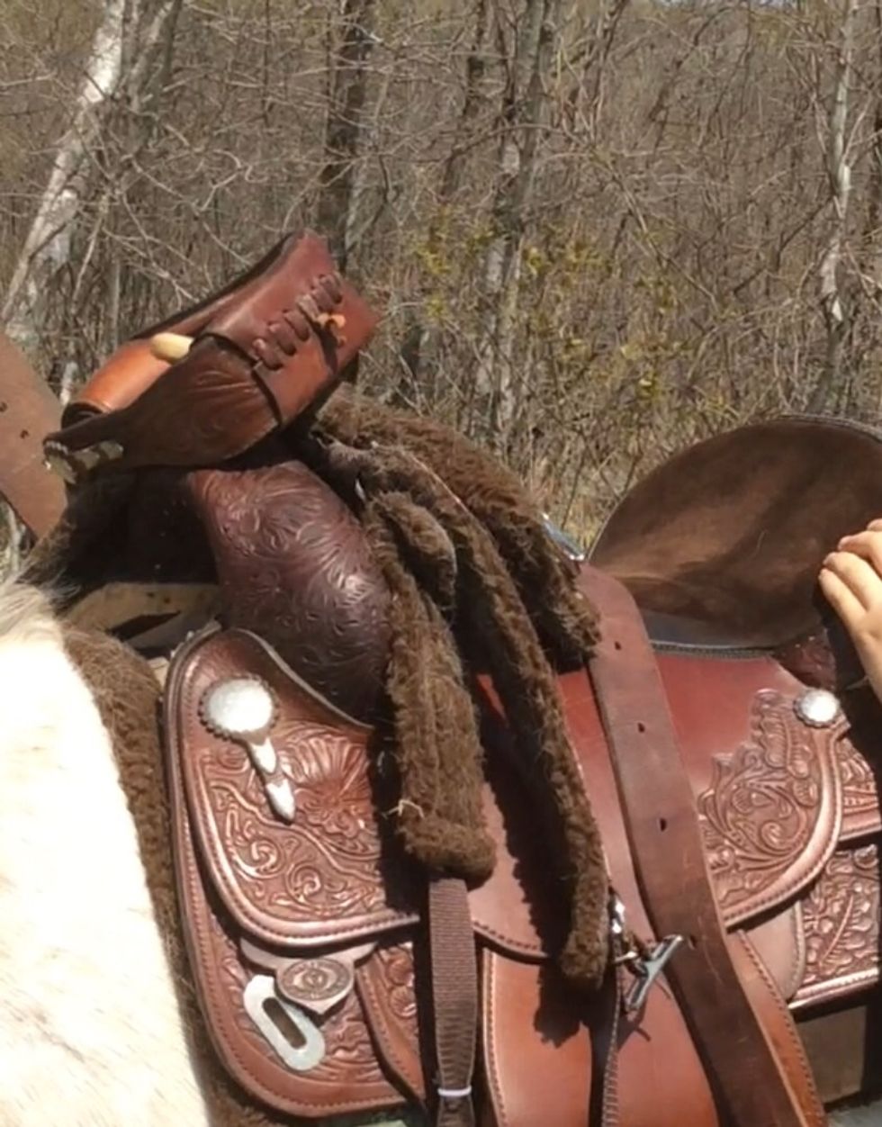 How to tack a horse B+C Guides