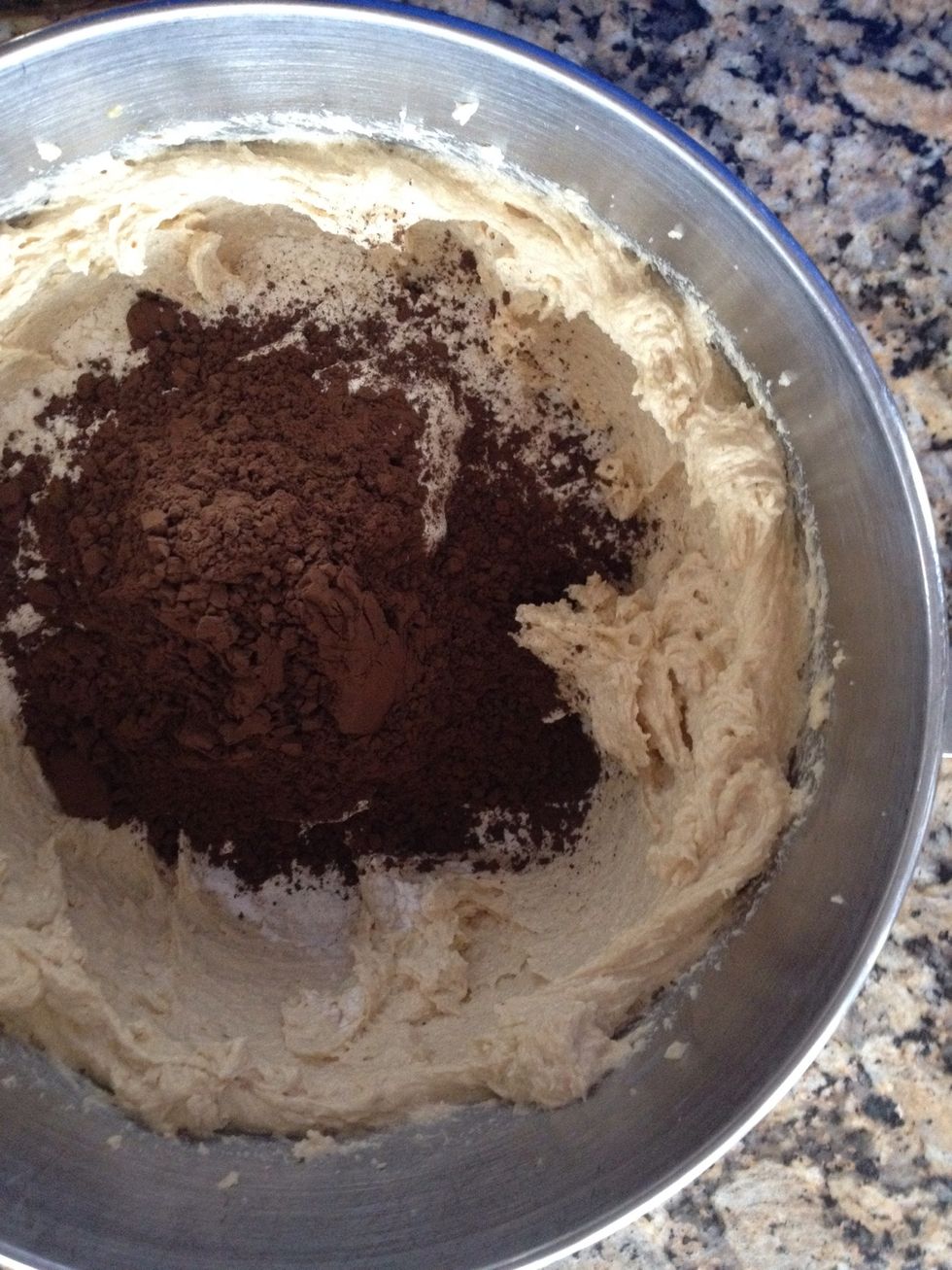 Next the Dutch cocoa. Add 2/3 cup   When you start your mixer, be careful and pulse off/on till it gets incorporated. Otherwise you'll have more thrown out, then left in