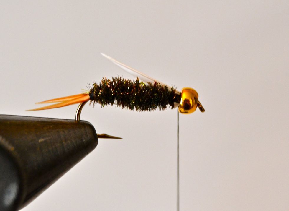 Next tie in a single white biot barb on the OPPOSITE side of the body near the top side. Extend it back from the eye about the length of the body. Make sure the pointed end faces back and 'upward.'