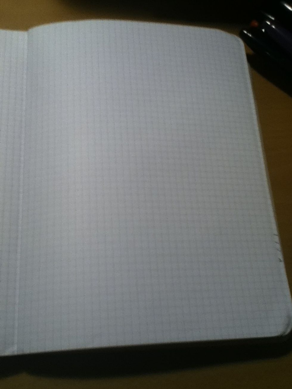 Next we move on to the inside pages. Some sketchbooks or notebooks have lined paper or graph paper in them.