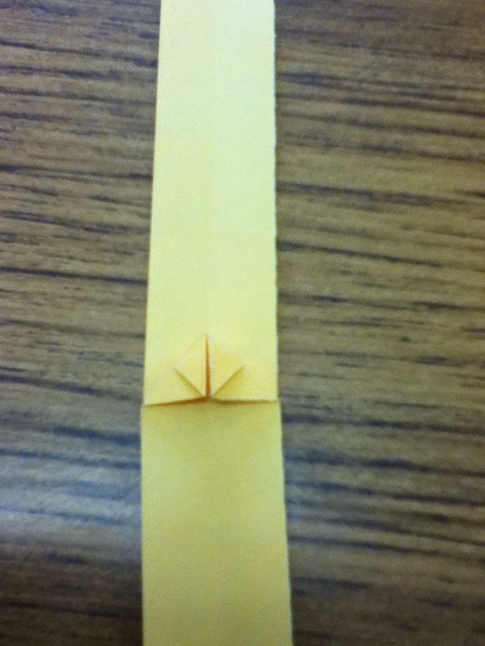 Next we will fold again the bottom edge up and over the triangle formed