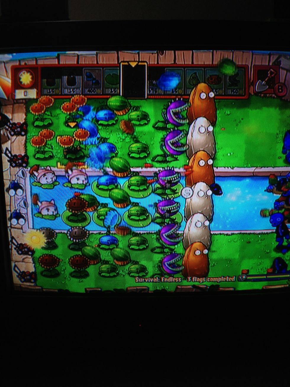 Next will be tall nuts!!