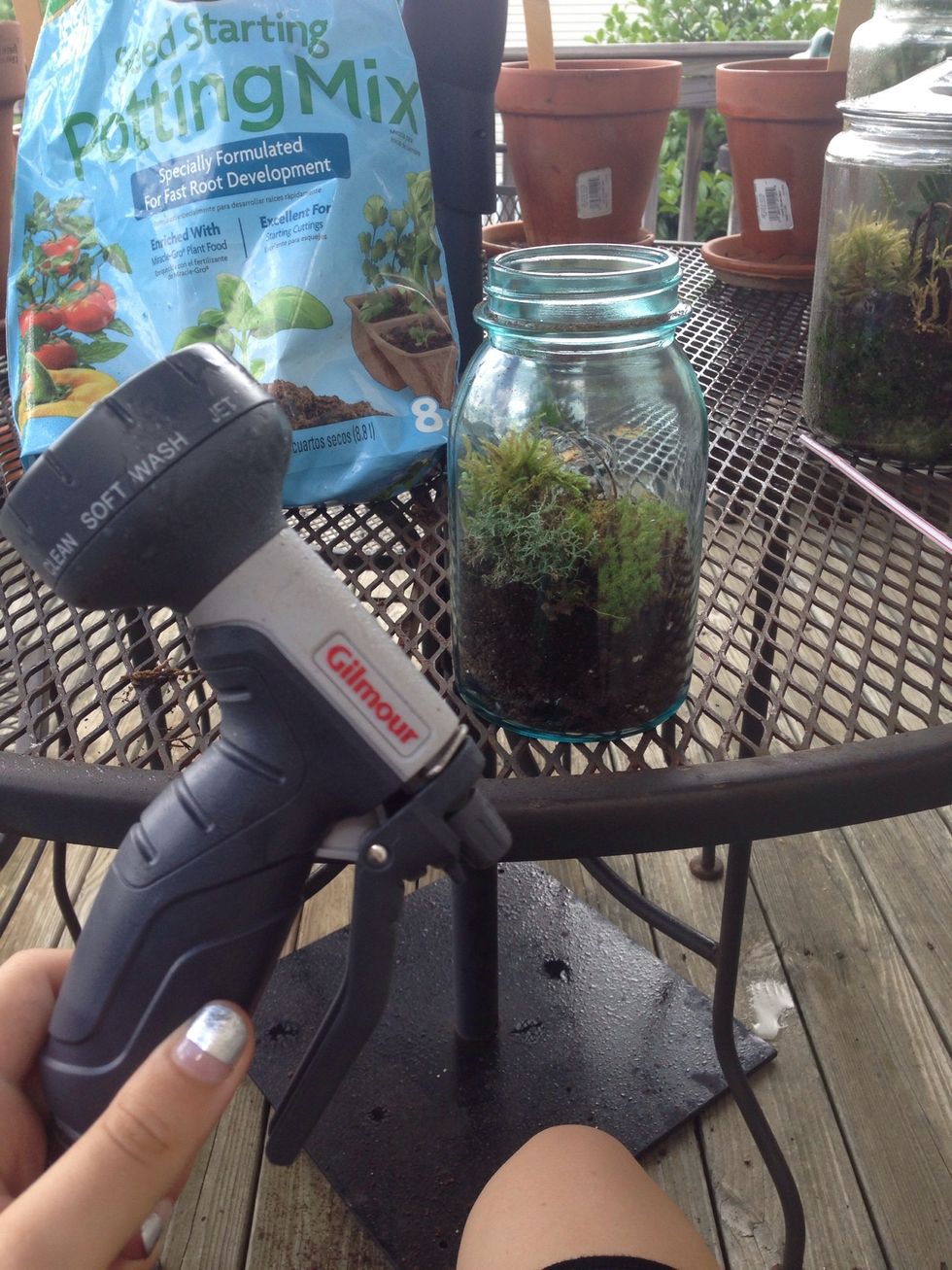 Next, you'll want to most your plants, I'd suggest using a spray bottle, but if you're lacking one like me you can use a hose on a mist setting.