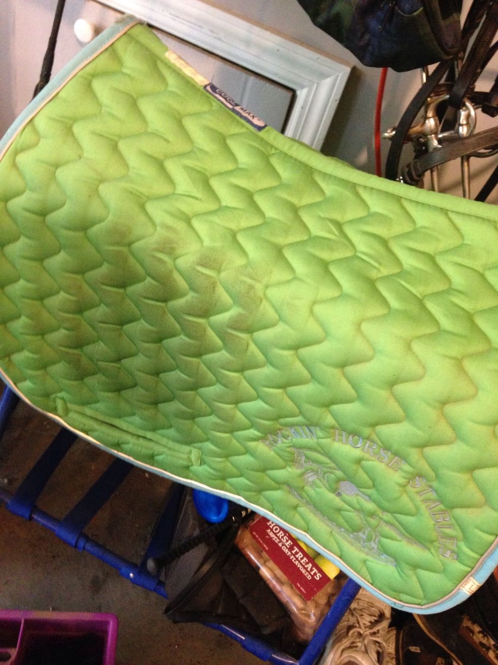 Next you need a saddle pad and then place that on the back of the horse. I didn't have a gel pad but you also place that on after the saddle pad