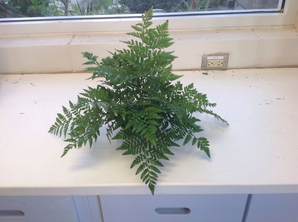 Next you take more leather leaf and fill in negative space (besides back). Make it look like all the leather leaf is coming from center. By doing this, you'll achieve rhythm through radiation.