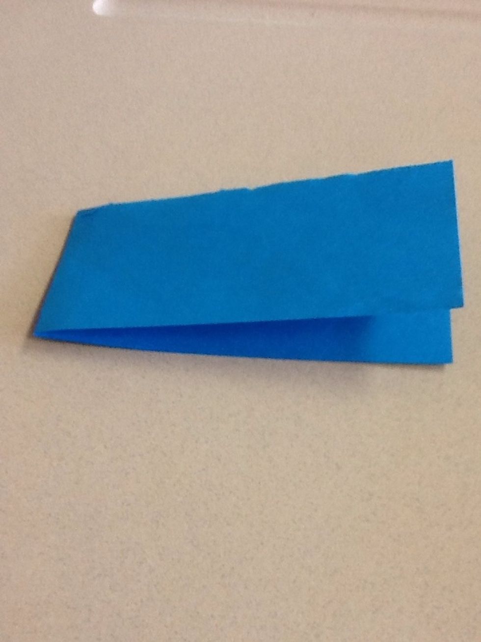 Next, you will need to fold it in half then unfold it.