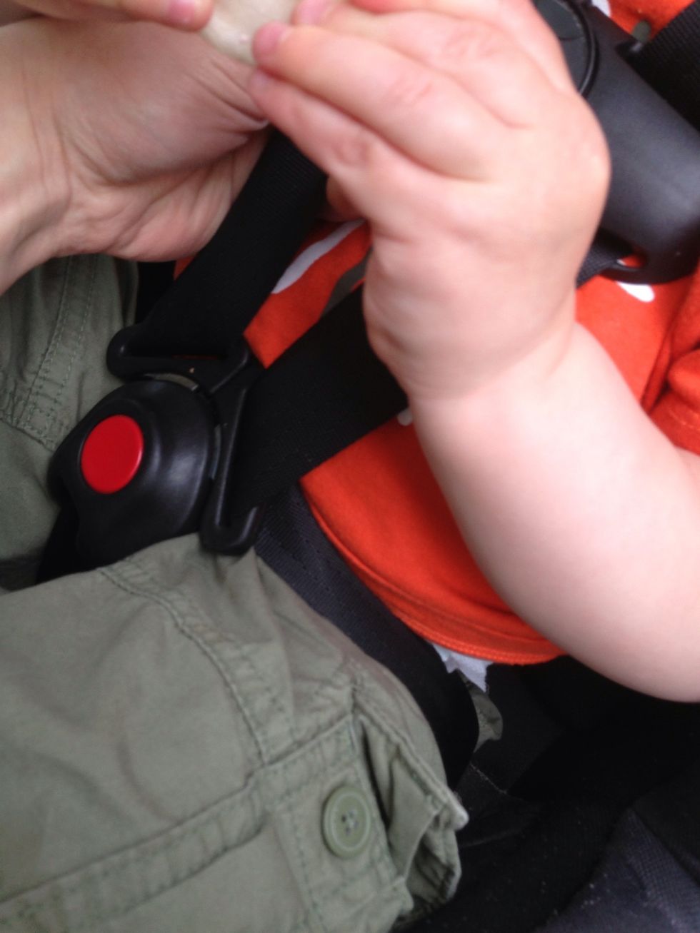 Nice and snug on the lap!