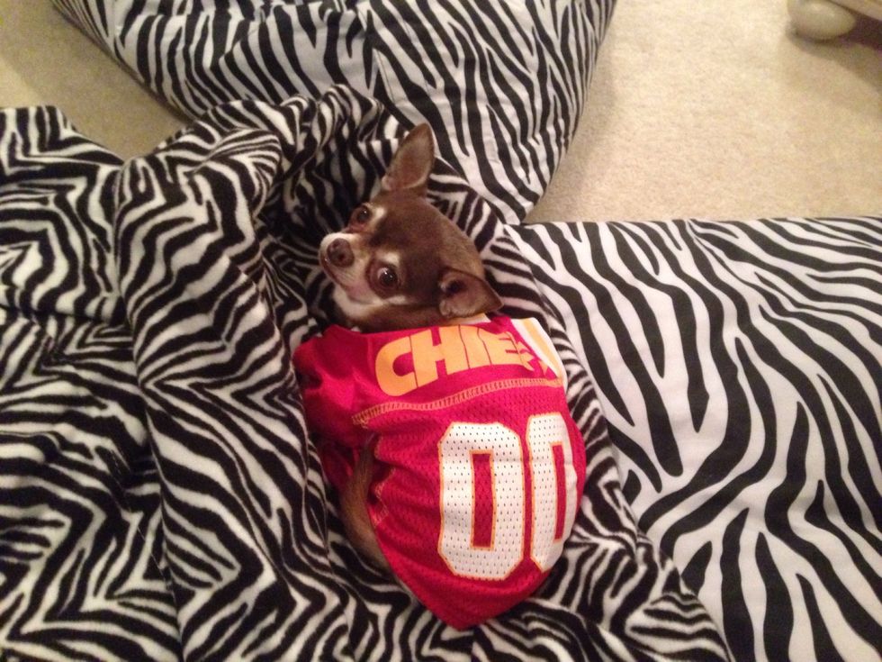 No matter how much snow we get, I'll be staying warm!