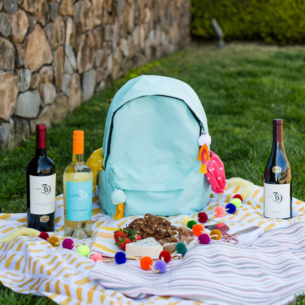 No picnic is complete without some tasty treats and your favorite bottle of wine. Not sure what the occasion calls for? Bring a bottle of red and white, so you have a little of something for everyone.