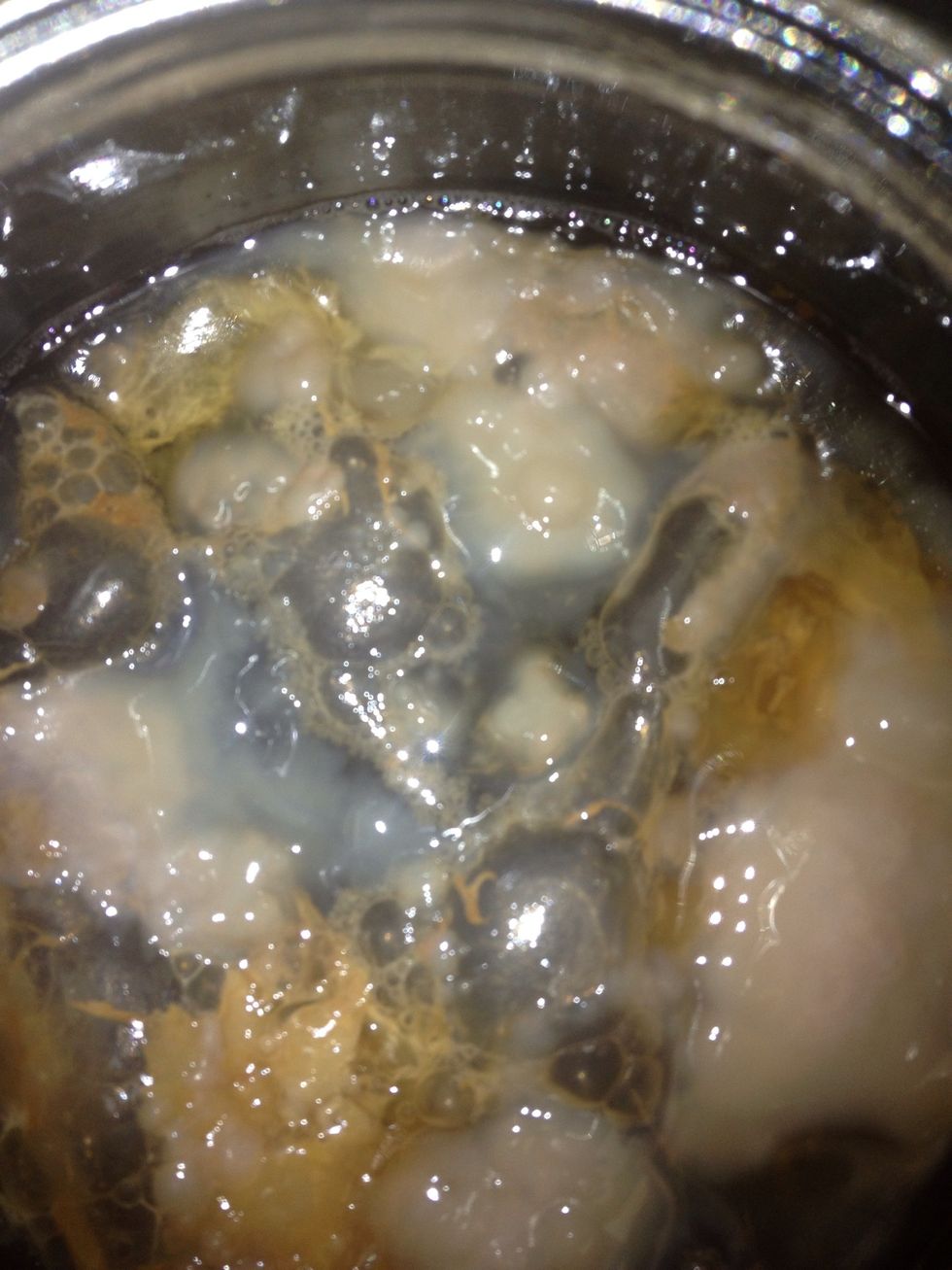 No, this is not vomit! Its a SCOBY-Symbiotic Colony of Bacteria and Yeast. I picked this "mother" up live from a shop in Berkeley . I had little success with freeze dried. Look on Craigslist.