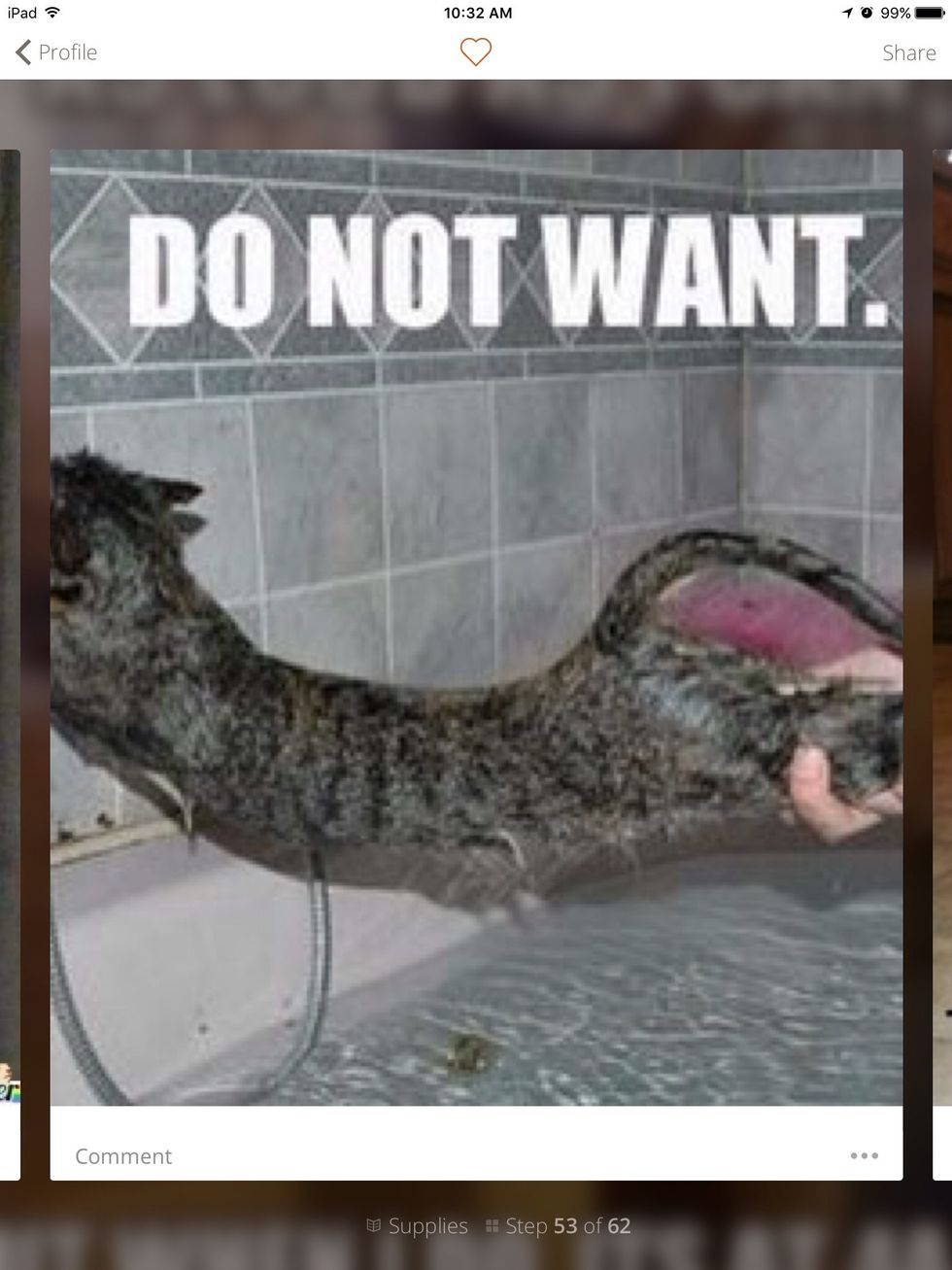 Nope! Look at the cat TRYNA take a bath!