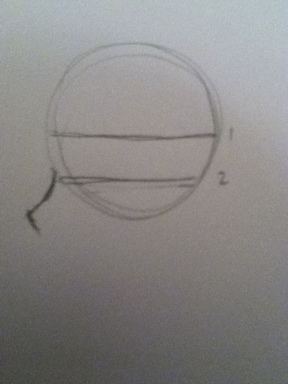Nose
