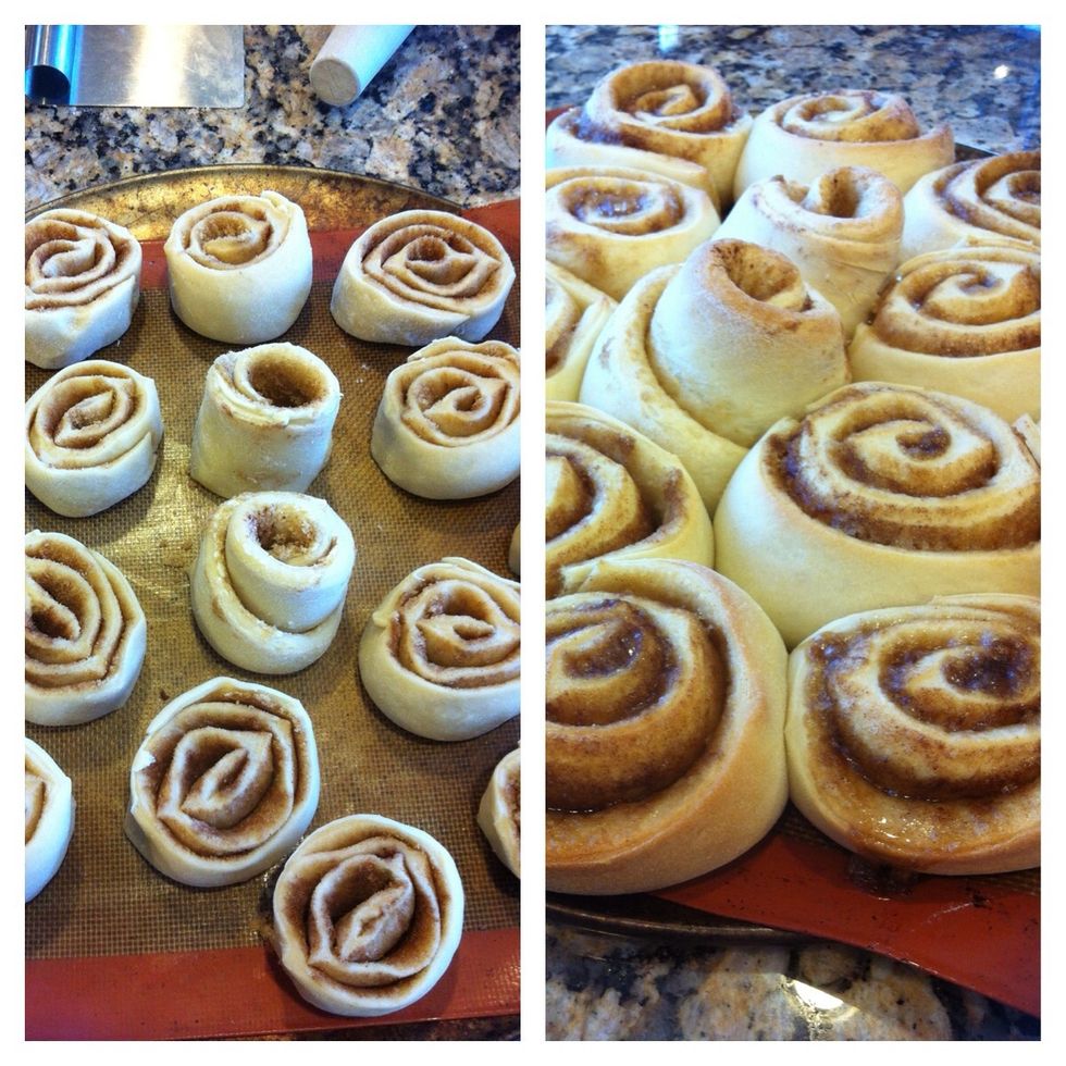 NOTE: if you make this dough the night before, you can let your cinnarolls sit over nite COVERED WELL, in the fridge. Then next morning let them come to room temp (about 30 min) and bake like directed