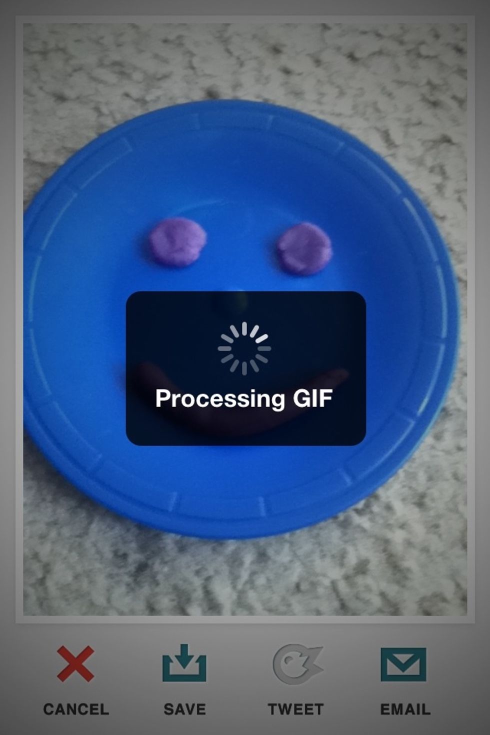 Note: The GIF's processing time gets longer the more pictures you take.