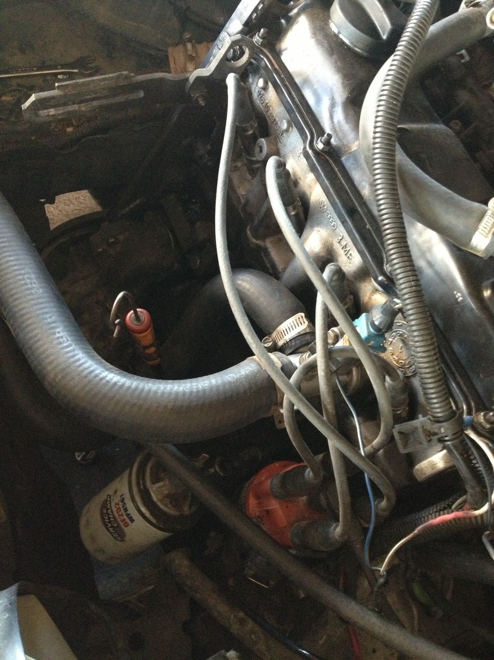 Note the position of the plug wires to the distributor