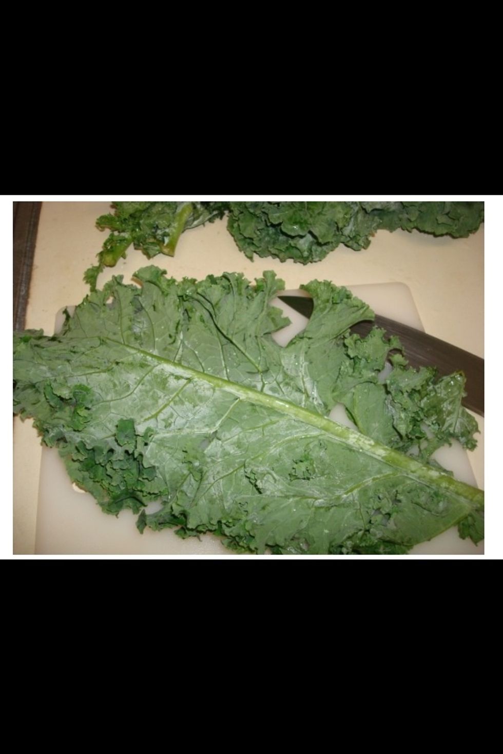Note the rib down the center of the kale.  We will be removing and discarding this portion.
