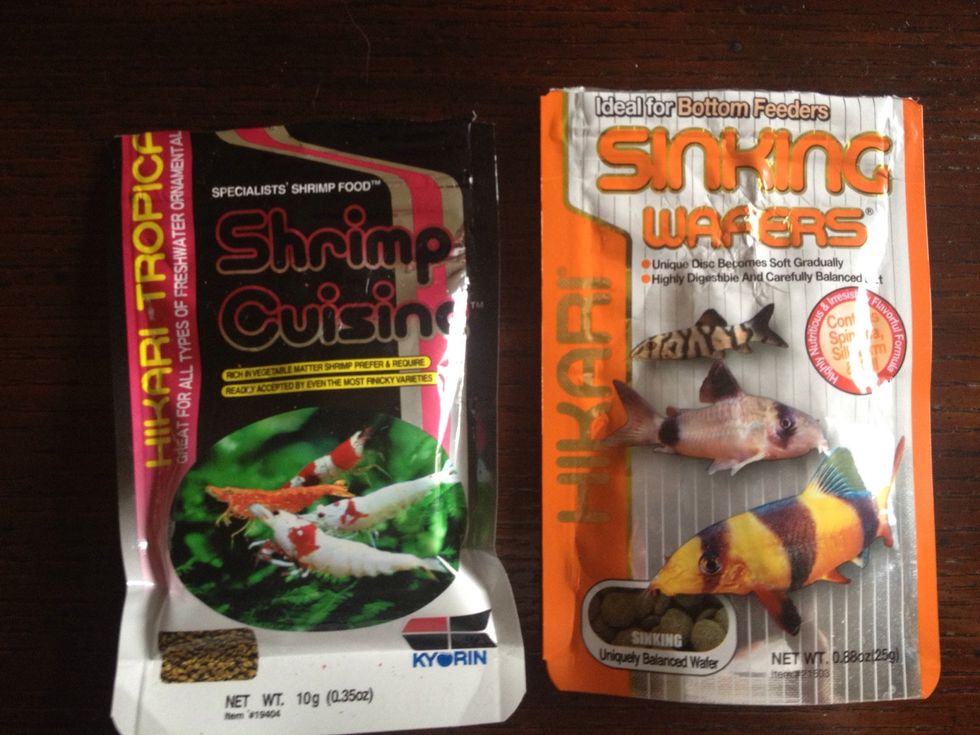 Nothing takes the edge off of stress than eating. Feed them immediately so they learn they don't have to worry about food and won't become aggressive towards each other.