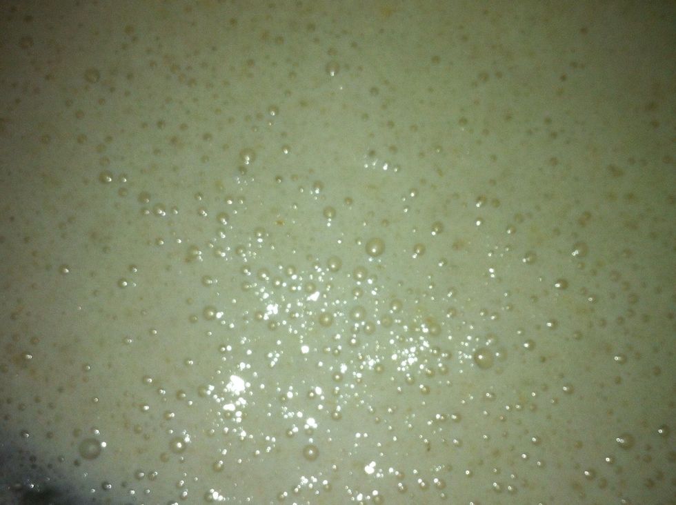 Notice all the little bubbles have emerged. This is after letting the yeast do its magic for 4 hours.
