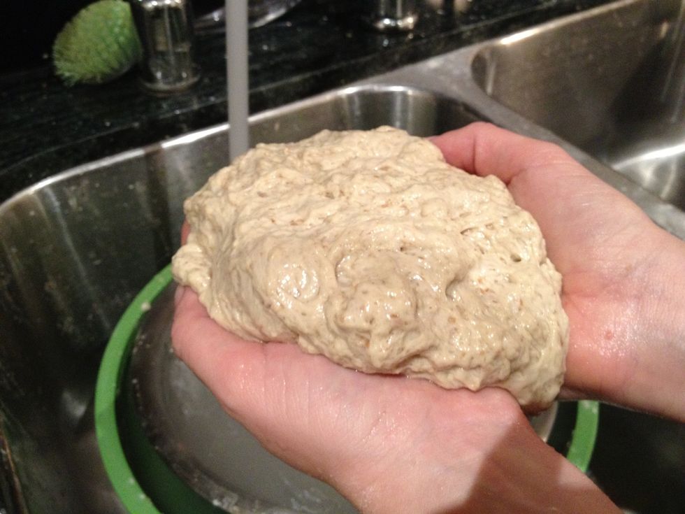 Notice how much smaller the dough is now. The texture is much firmer then it was 15 minutes ago. It's also less sticky so much easier to work with.