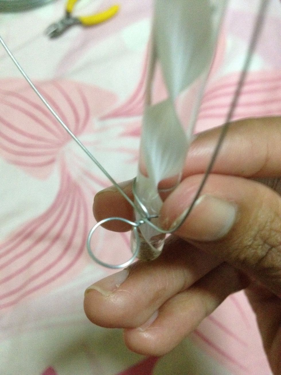Notice that both petals have their closed ends facing each other.
