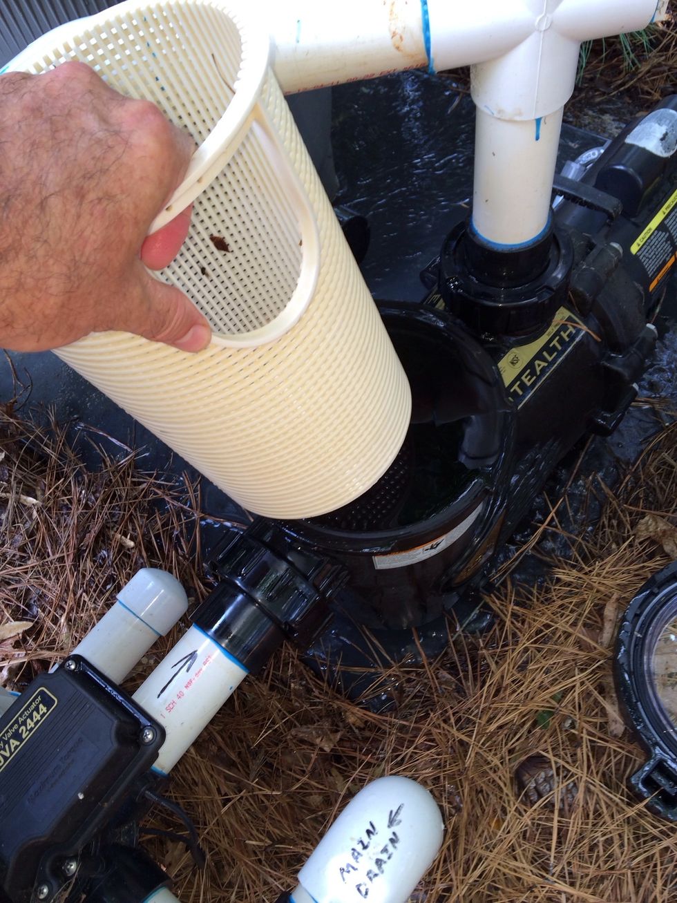 Now clean the basket in the pump and replace it