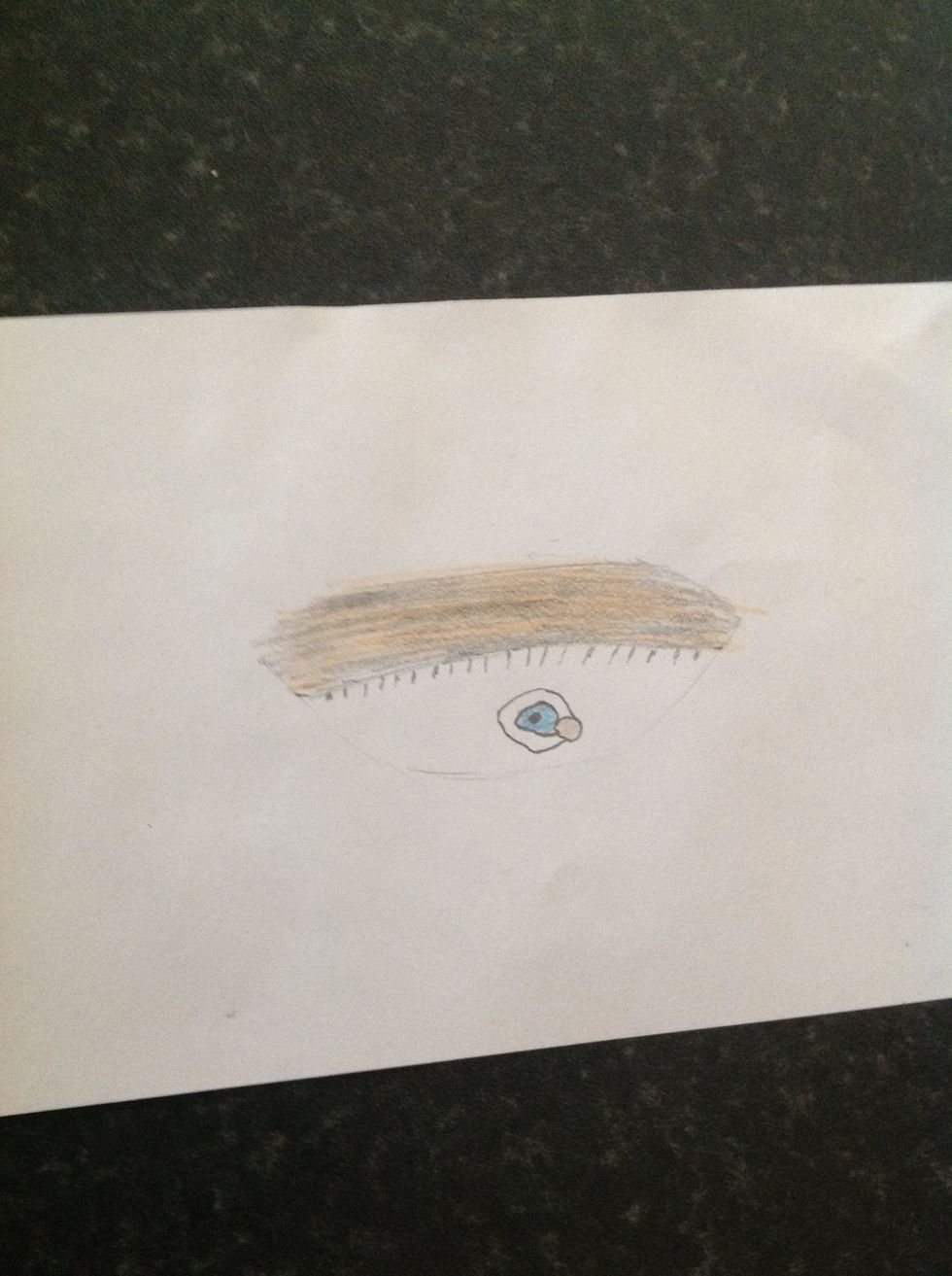Now colour the eye lid in orange, yellow or brown