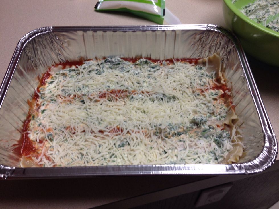 Now cover with mozzarella