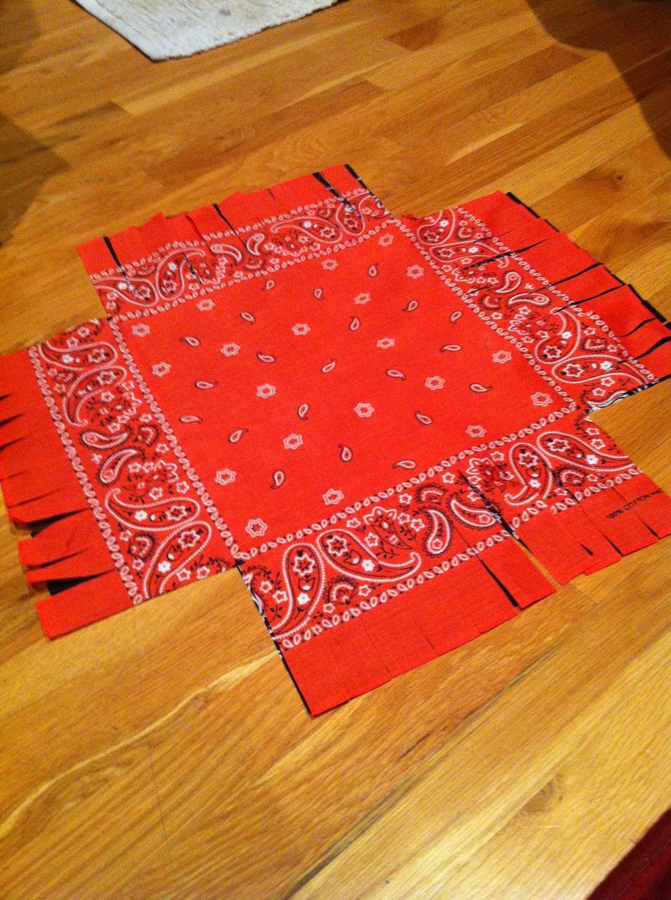 Now cut all sides into little strips one inch wide