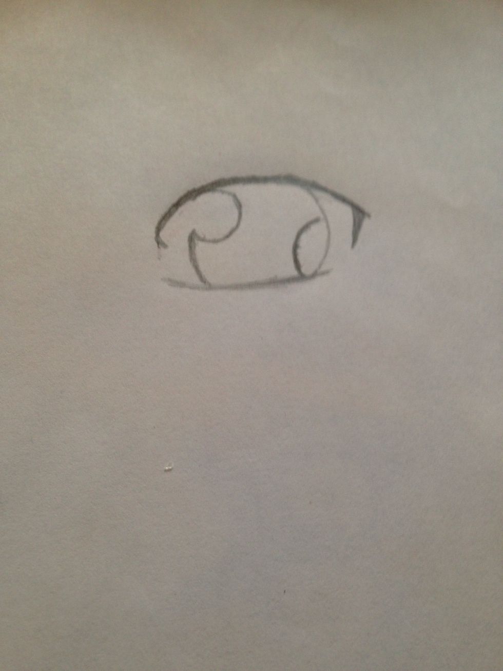 Now, draw a long oval inside the eye on the right side