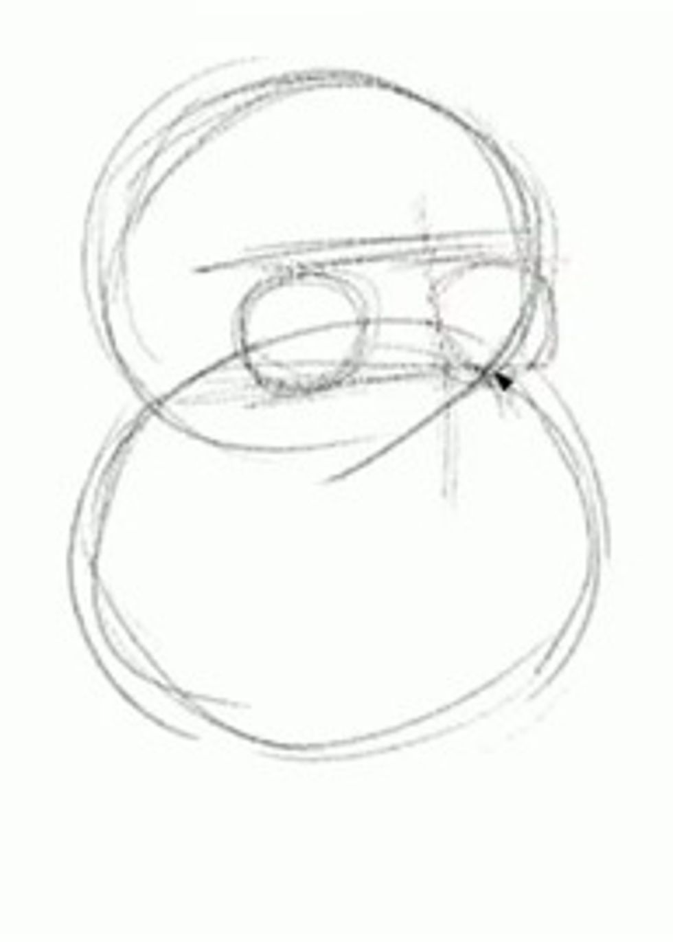 Now draw another circle on the opposite side for the other eye.