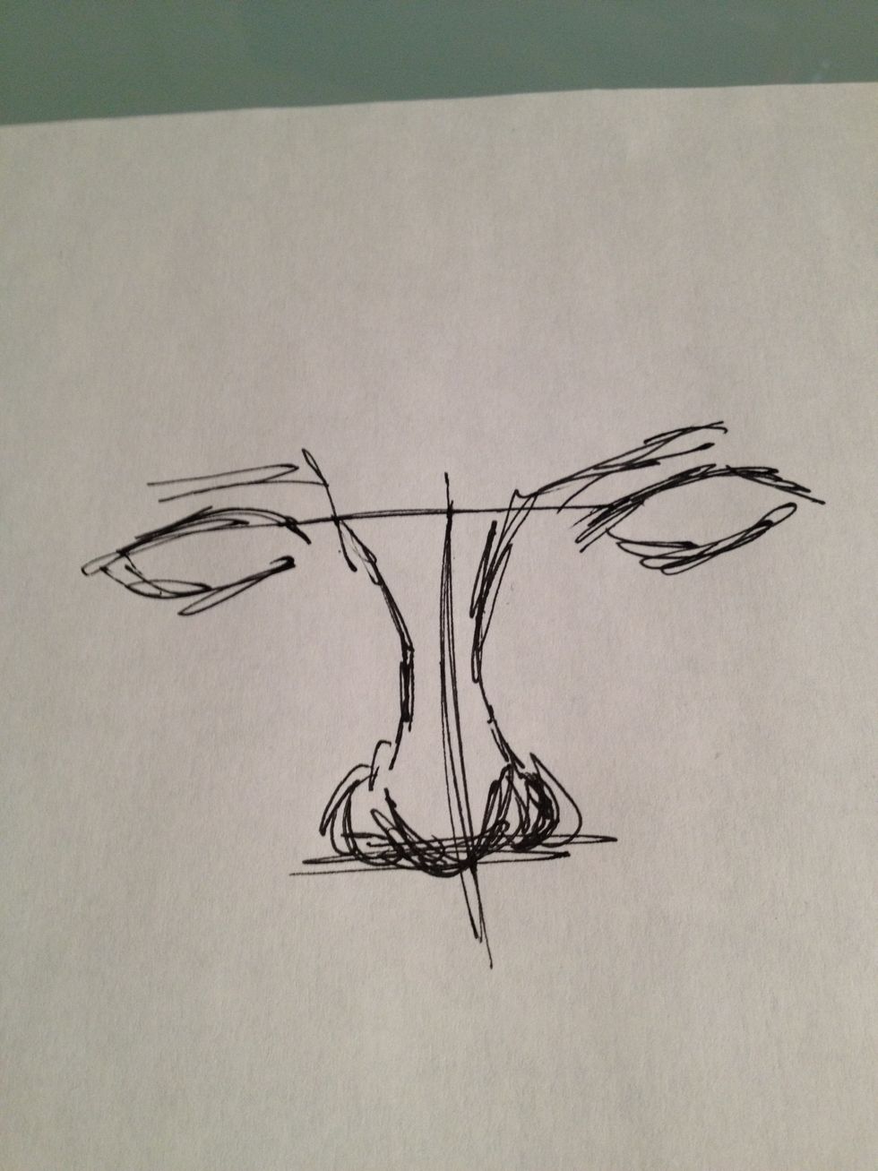 Now draw eye sockets