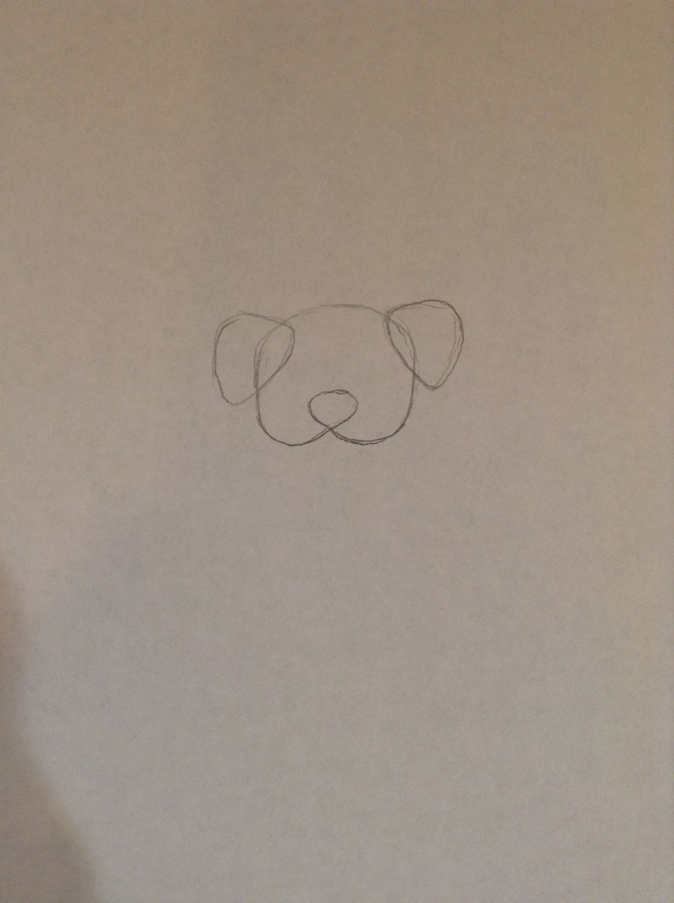 Now draw the ears and the nose
