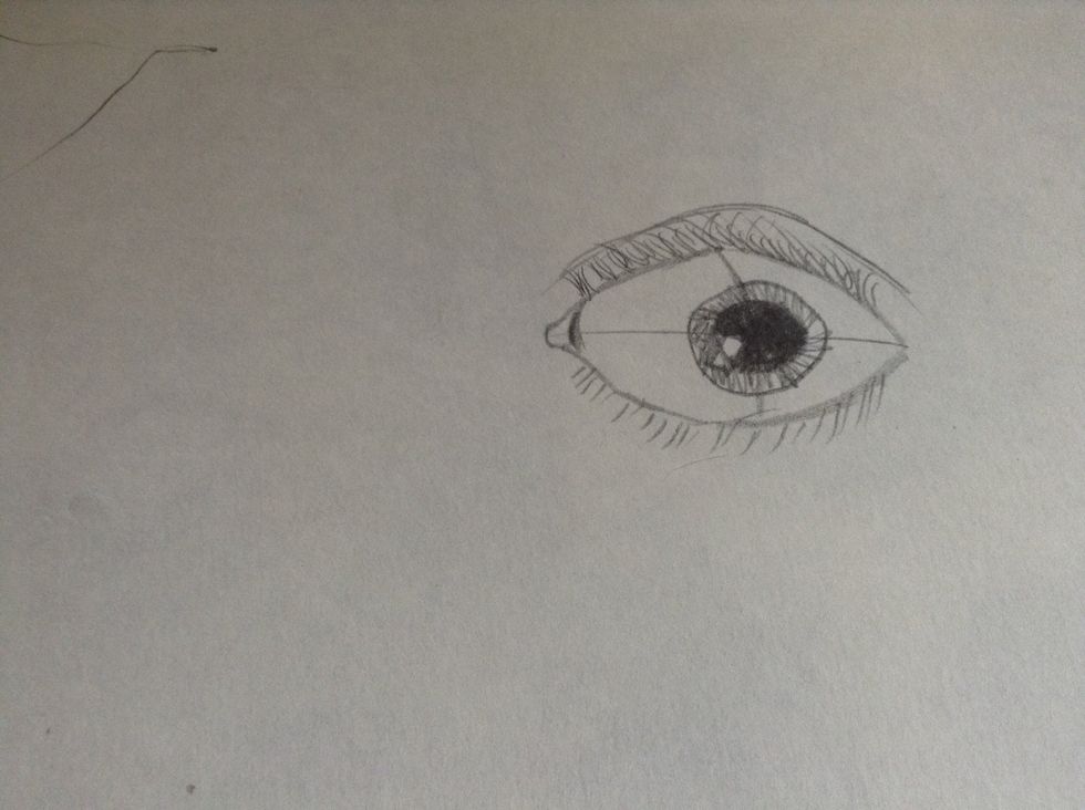 Now draw the eye lid fold.