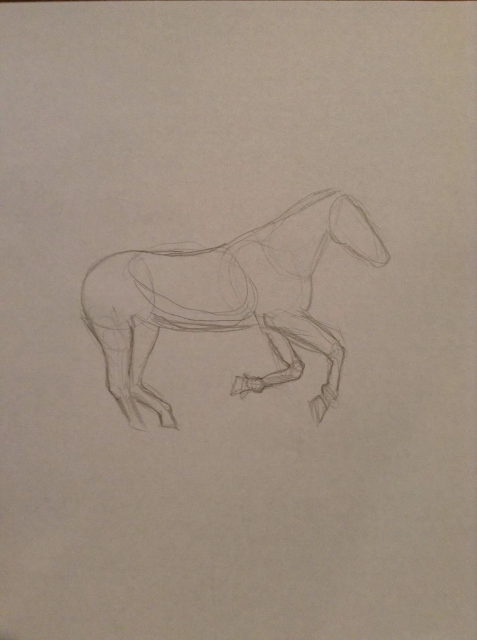 Now draw the outline of the horse by being more exact with your lines. Use your basic shapes as an guideline and don't forget to refer to your reference photo.