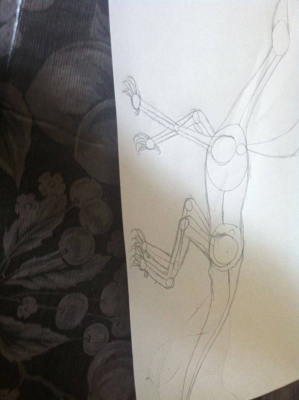 Now draw the outline of the legs and the feet ( front and back )