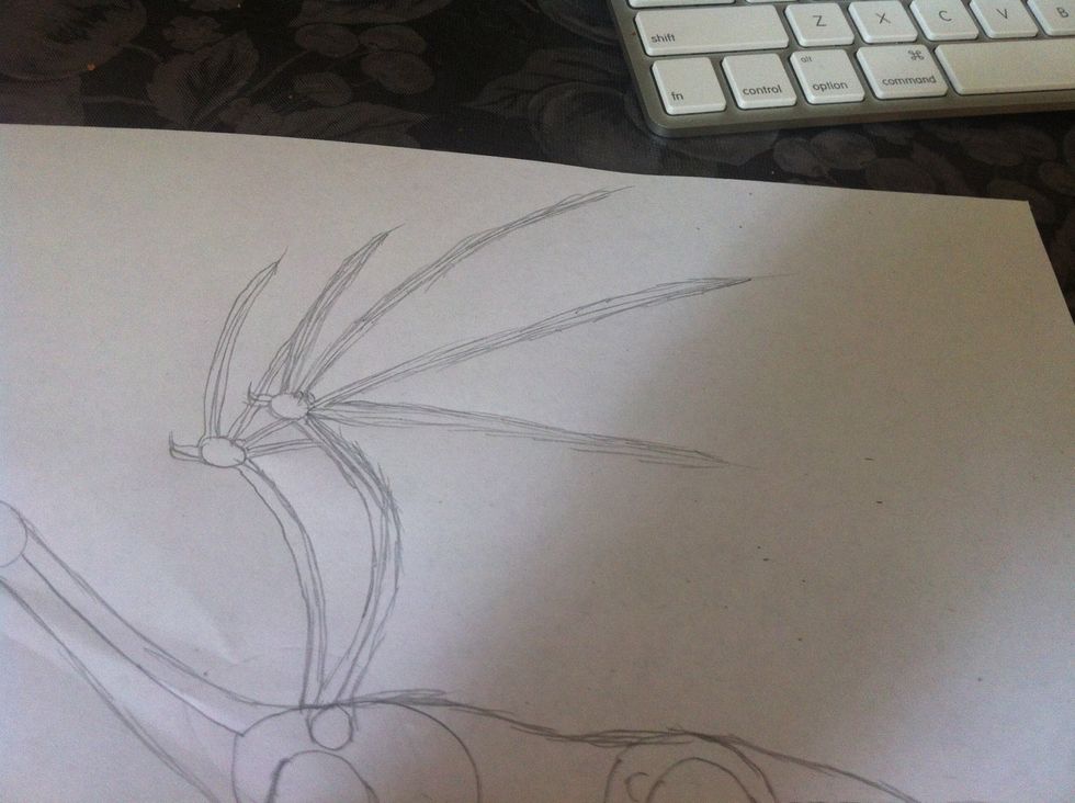 Now draw the outline of the wings ( I know it looks chunky but I'll fix it later just wait )