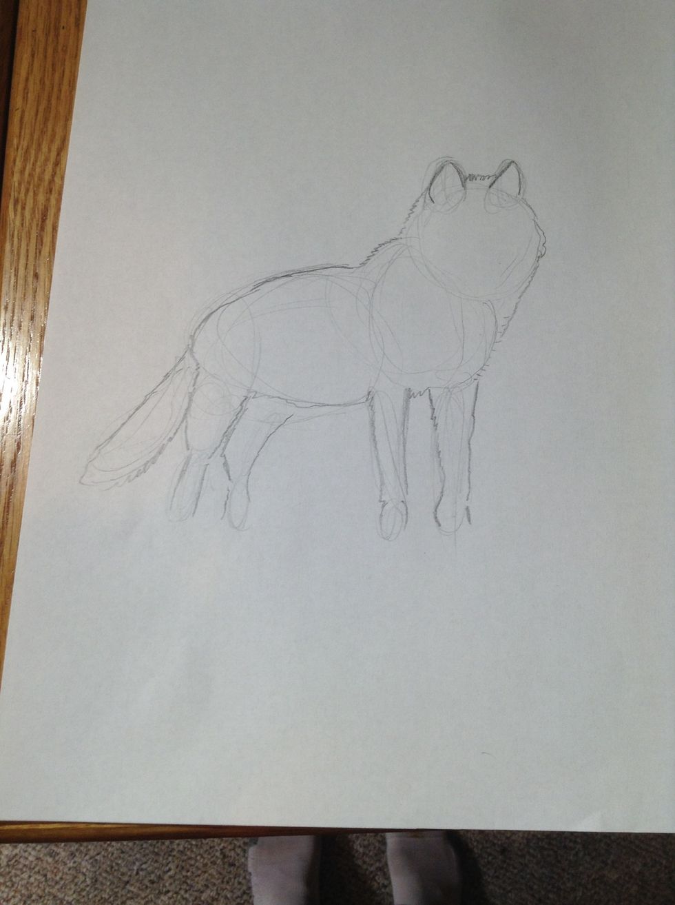 Now draw the outline of the wolf.