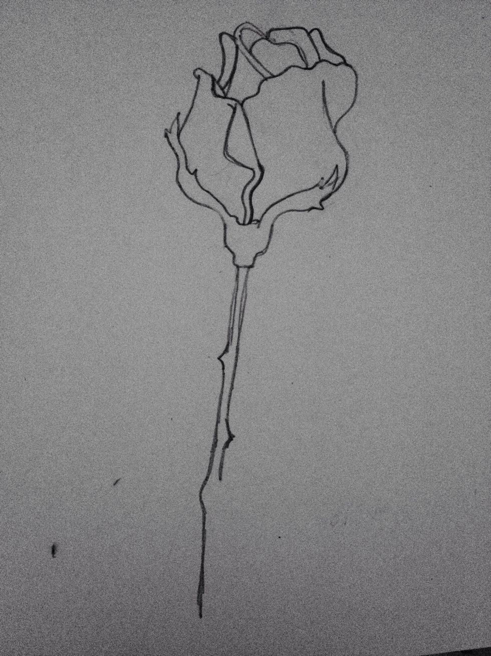 Now draw the stem, making sure to put in some thorns as well and don't make it perfectly smooth and straight, give it a bit of character!