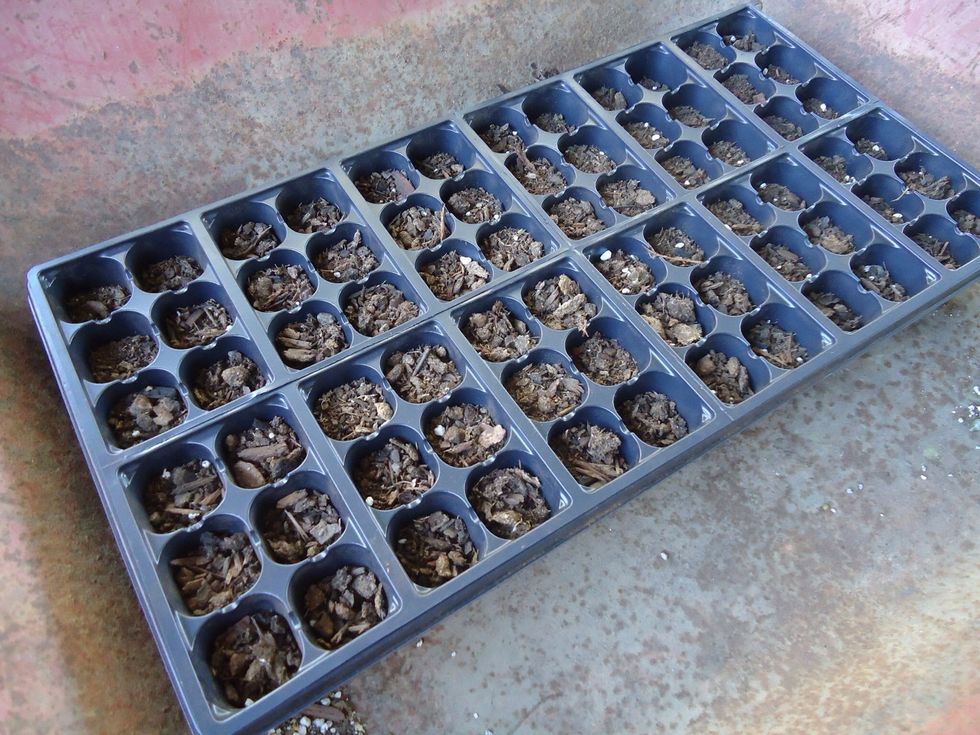 Now evenly fill each hole using the selected seed starting mix. You can also just use regular potting mix if you like. I use a little of both because I ran out.