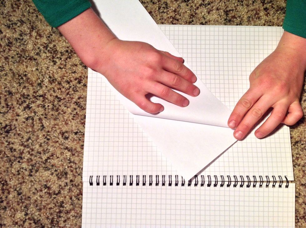 Now fold 1 of the sides down so it touches the bottom of the paper