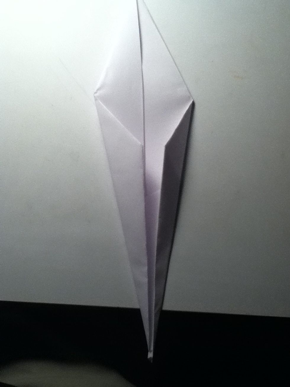 Now fold again up into the crease for both sides