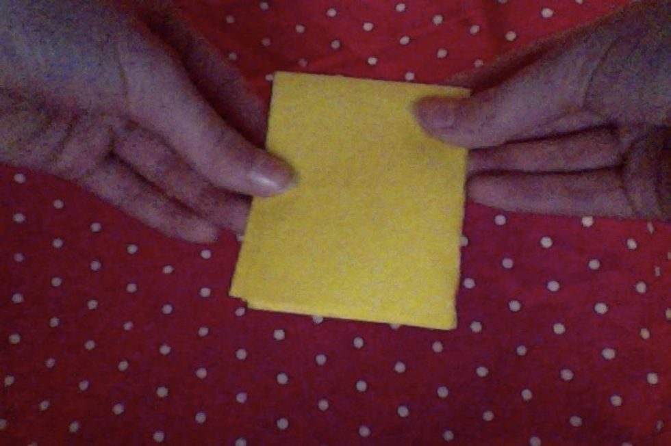 Now fold in half this way to make a crease down the center and unfold.