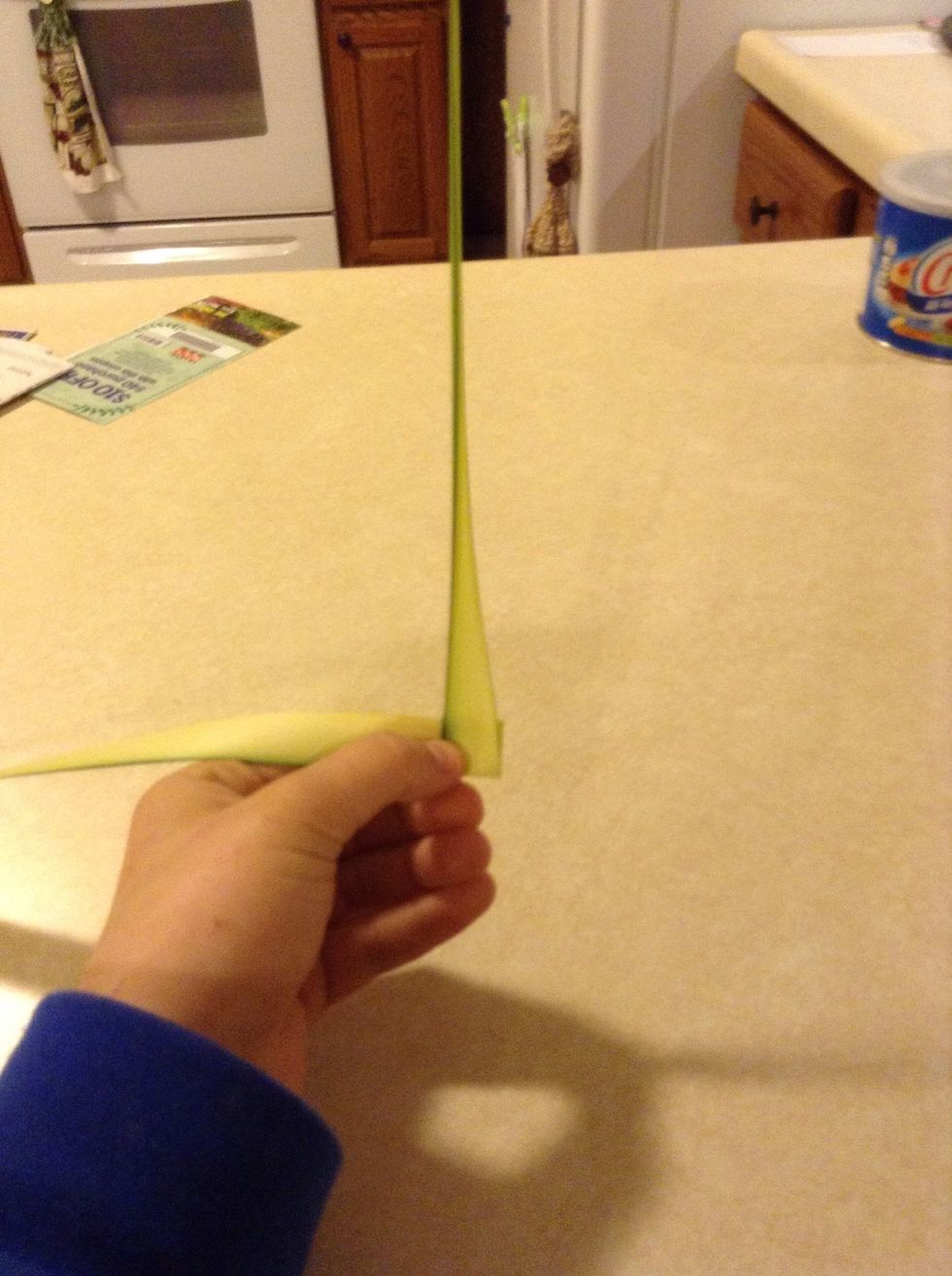 Now fold (the same part that you just folded down) up so it looks like it did when you first folded it.