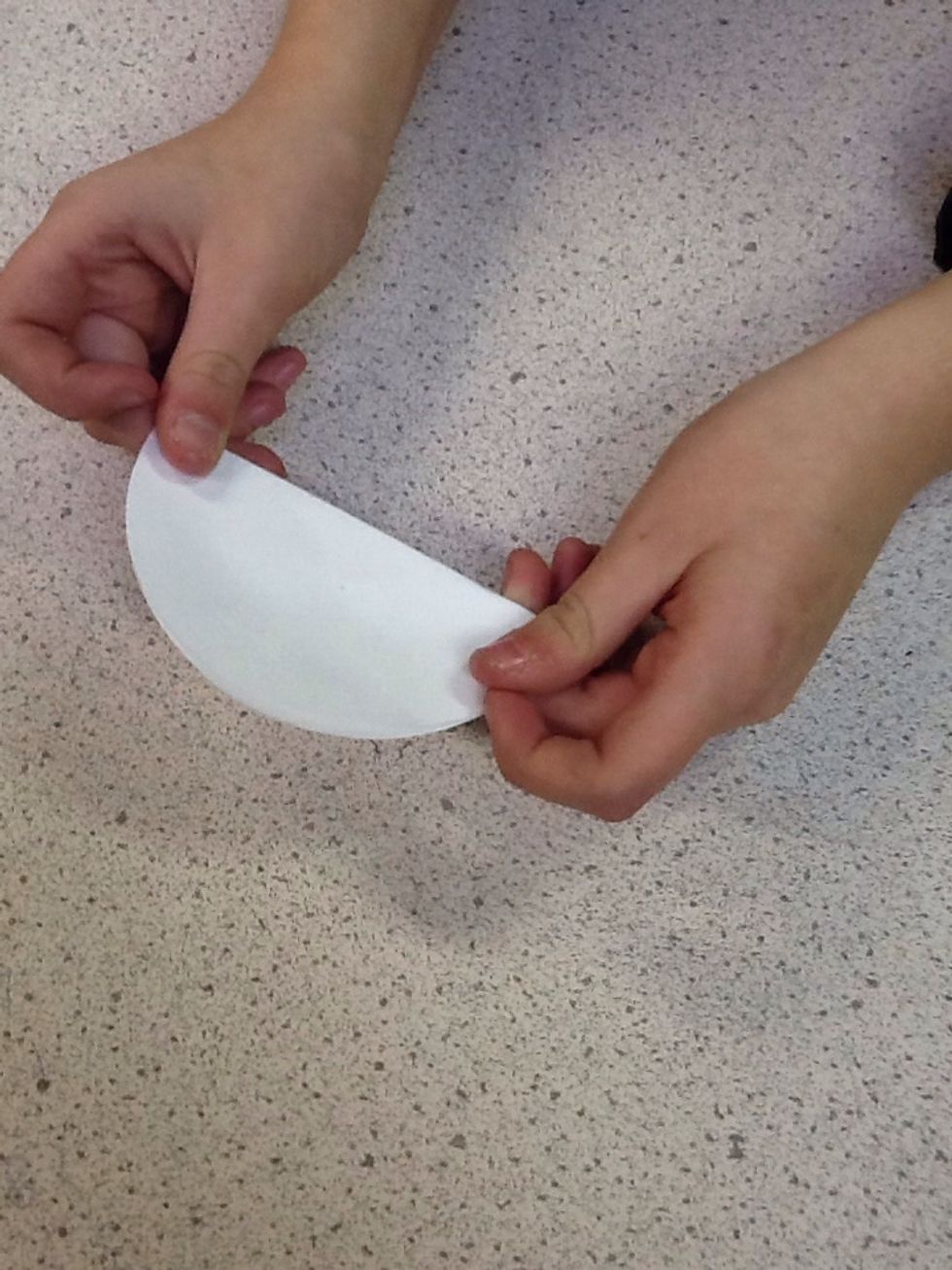 Now fold your paper in half