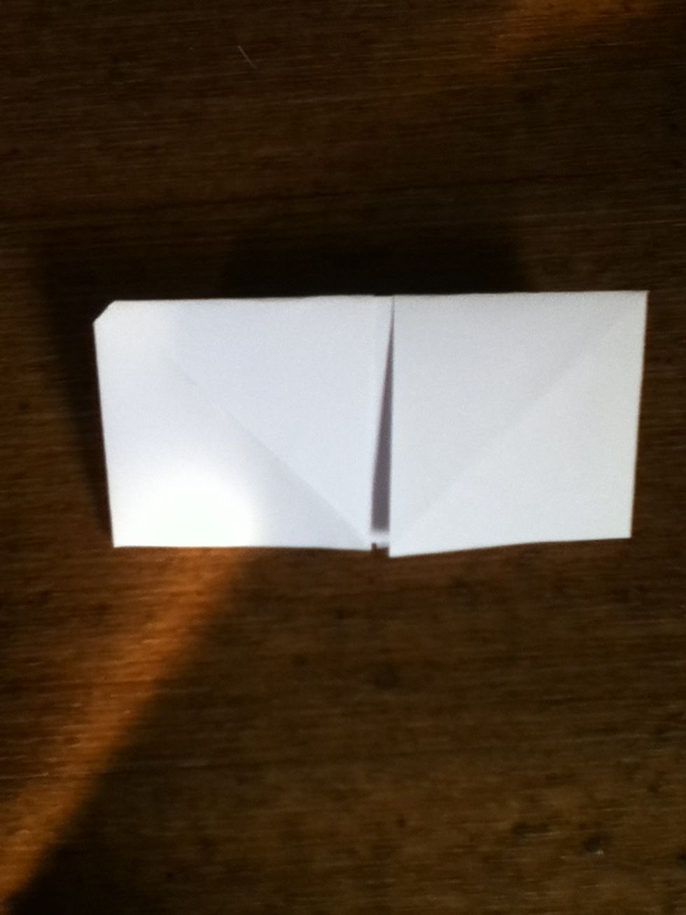 Now fold your paper in half...