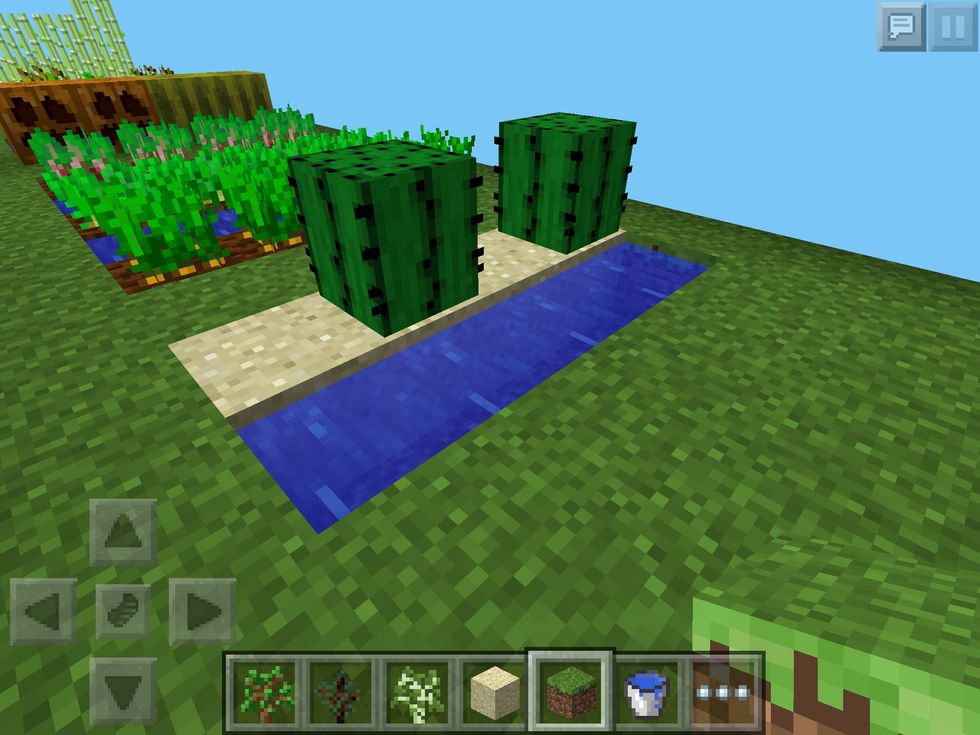 Now, for growing some cactus. Cactus can only grow on sand and can NOT have another cactus right next to it, so plan your farm around this prickly situation.