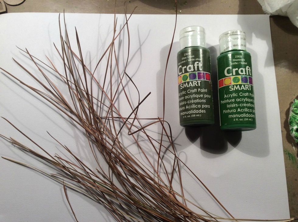 Now for the background paper in my shadow box I really wanted an organic feel. I went and gathered up some dried pine tree needles. Bunching them together created a great paint brush.